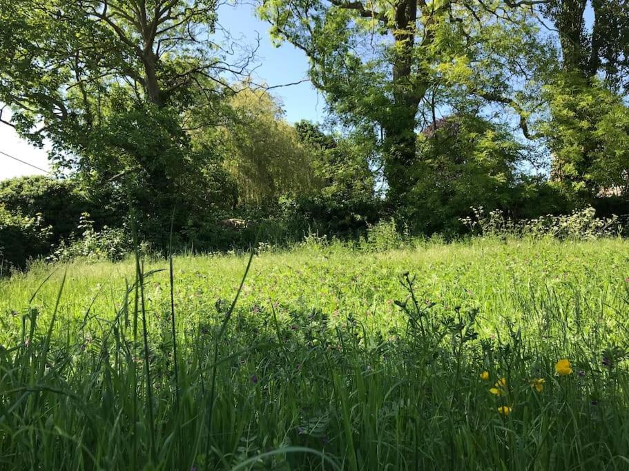 Priory Meadow Cottage Long Bennington Kültér fotó