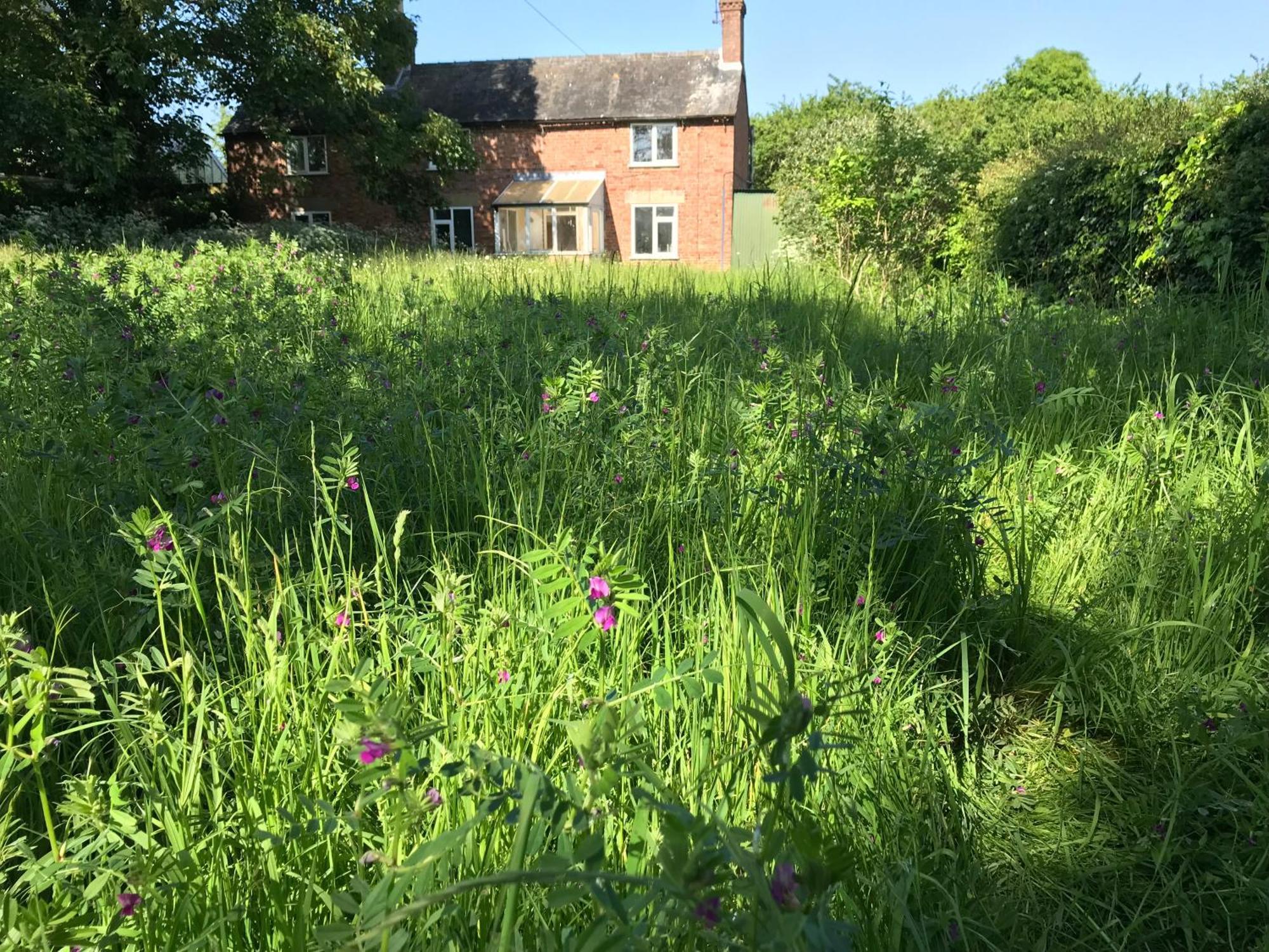 Priory Meadow Cottage Long Bennington Kültér fotó